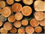 Kiln dried & seasoned logs