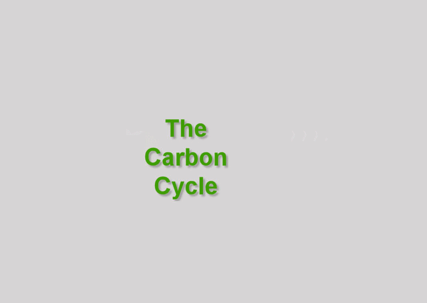 The Biomass Carbon Cycle